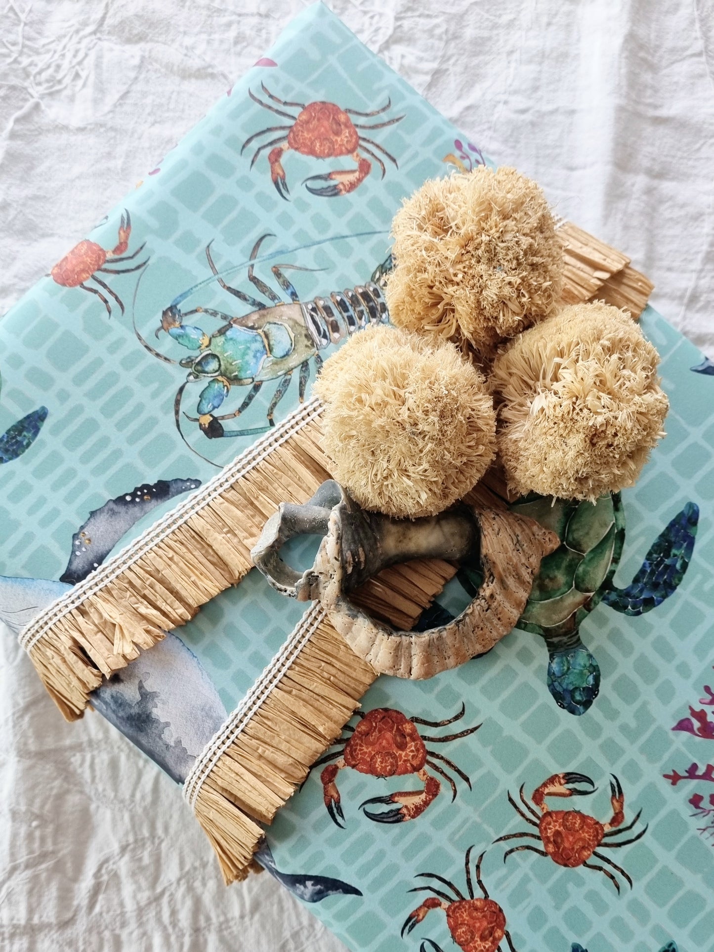 Wrapping Paper - Sea Life (Six Sheets) NEW SIZE