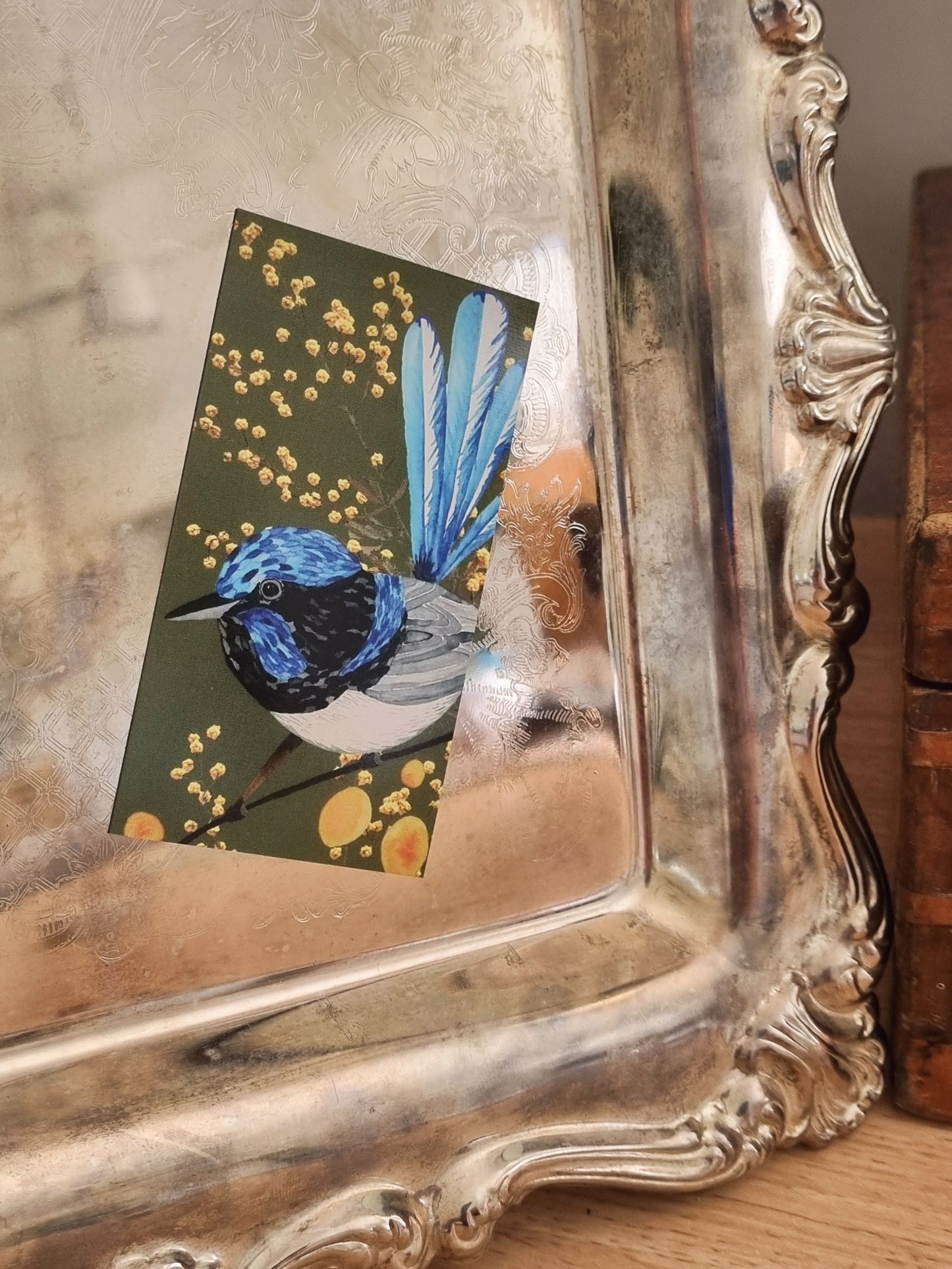 Magnet - Fairy Wren