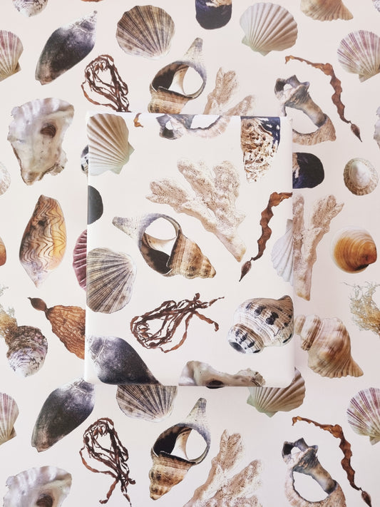 Wrapping Paper - Beach Treasures (Six Sheets) NEW SIZE
