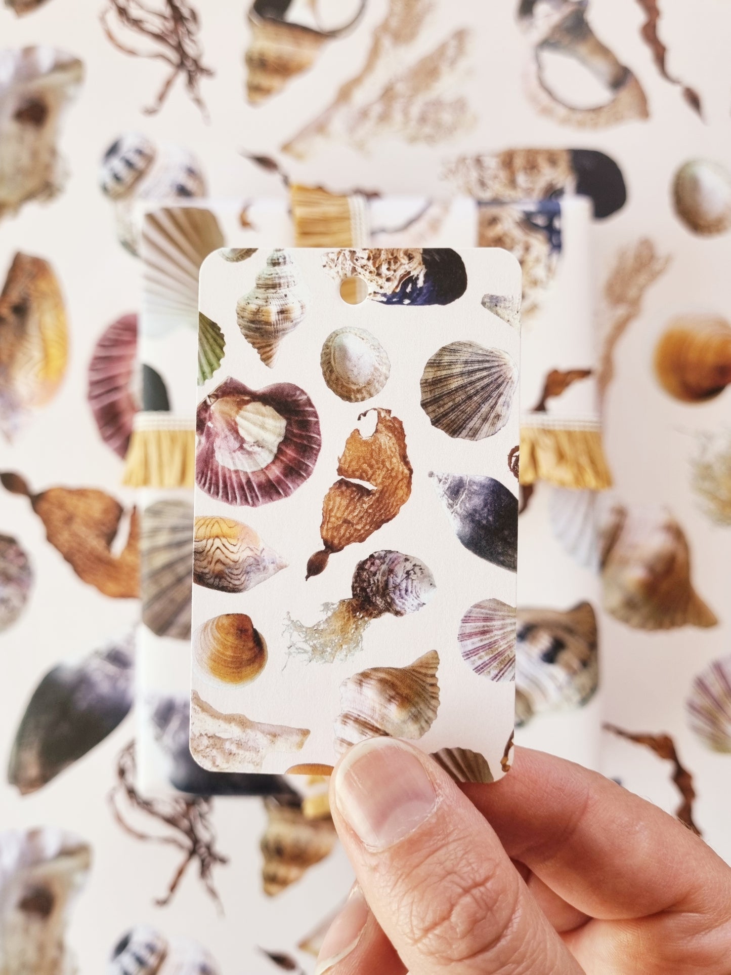 Wrapping Paper - Beach Treasures (Six Sheets) NEW SIZE
