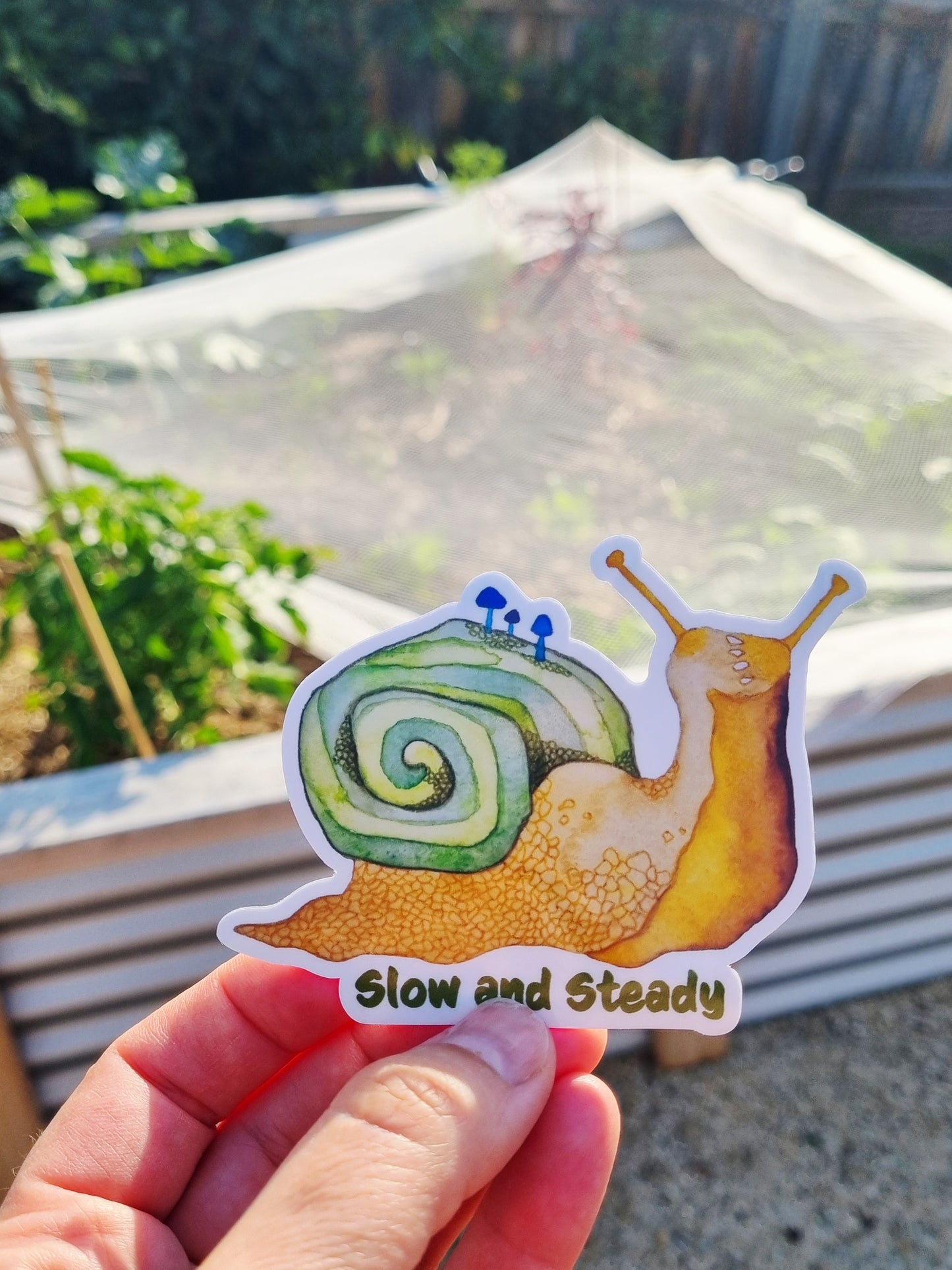 Vinyl Sticker - Snail - Slow and Steady