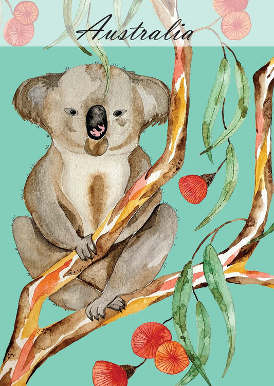 Postcard of Tasmania - Australia's Koala