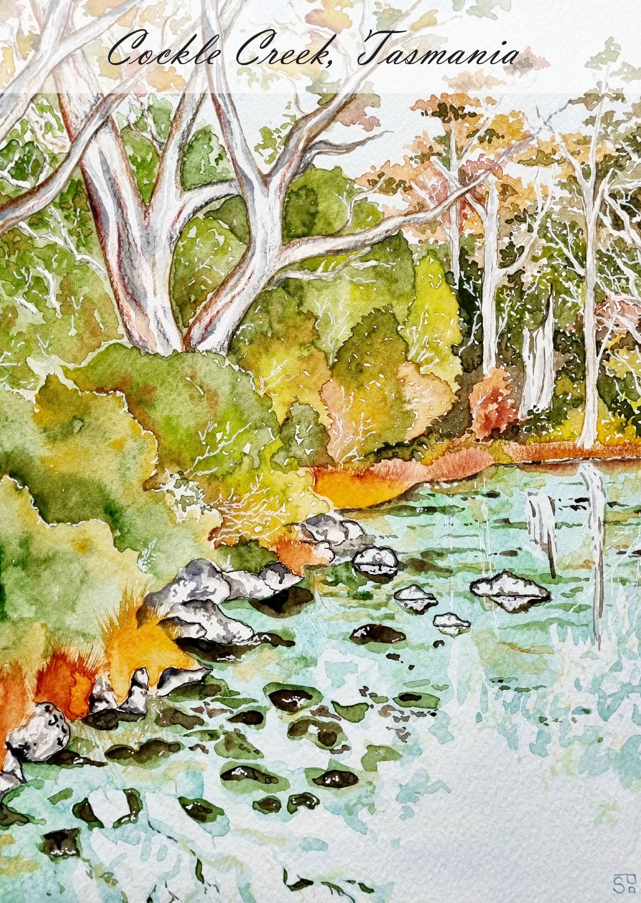 Postcard of Tasmania - Cockle Creek