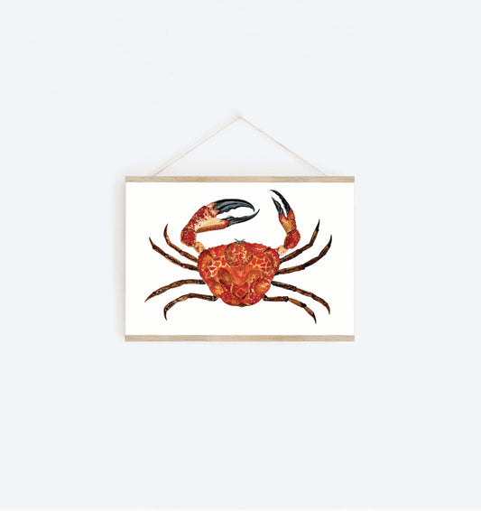 Art Print - Sea Life - Giant Crab