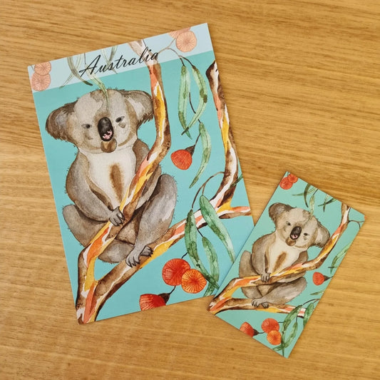 Postcard of Tasmania - Australia's Koala