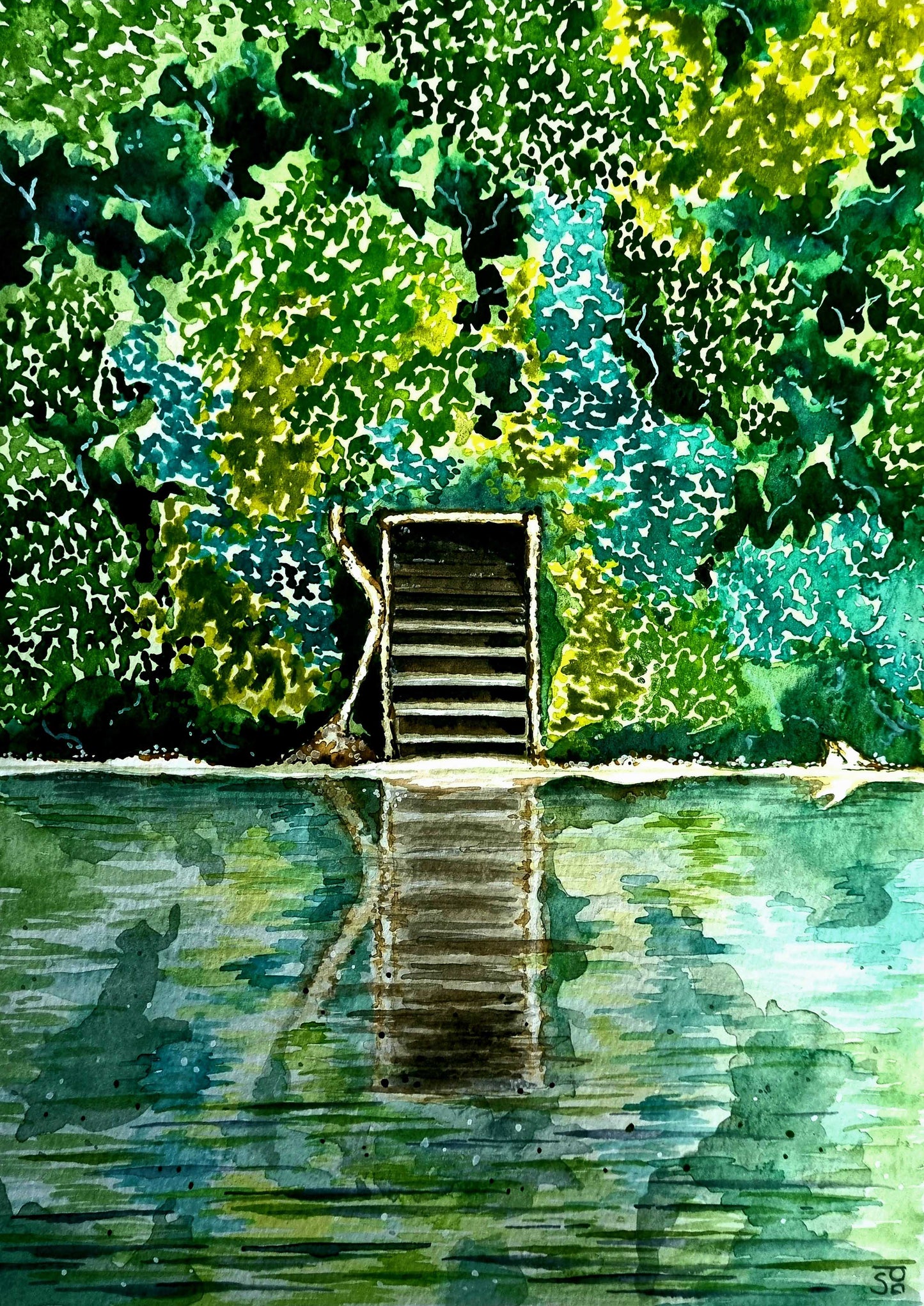 Tasmanian art print - Tarkine Wilderness Lover's Falls near Corinna