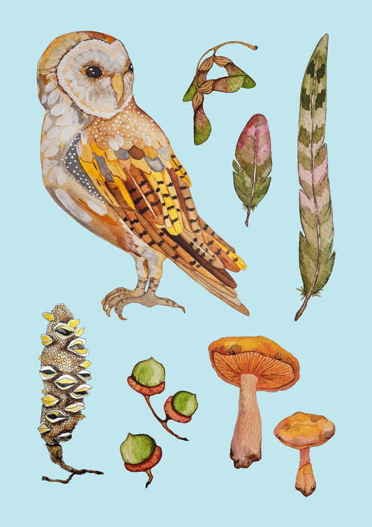 Art Print - Flora and Fauna - Owl Study
