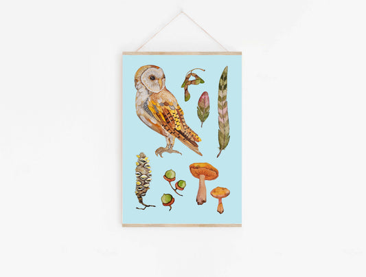 Art Print - Flora and Fauna - Owl Study