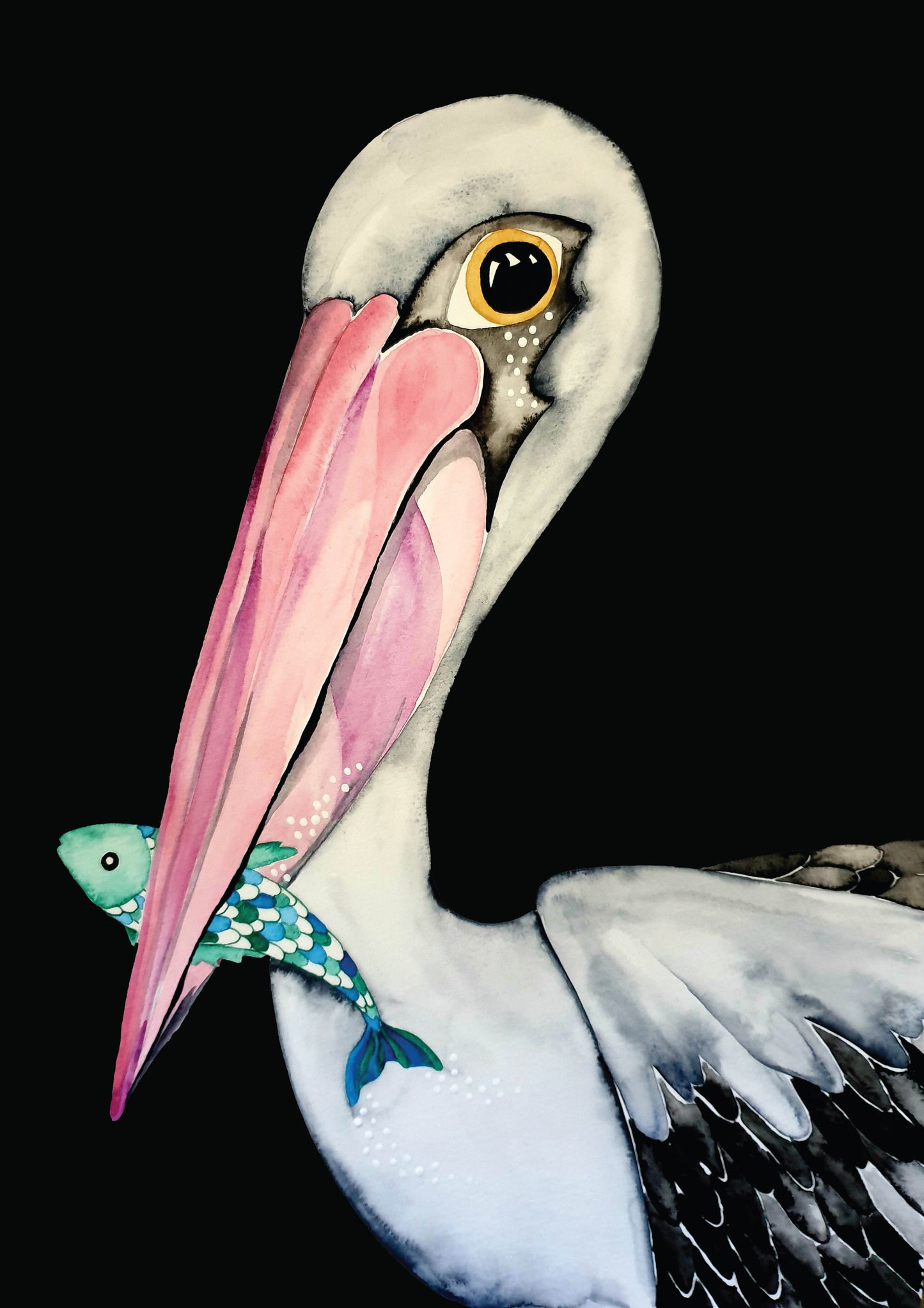 Tasmanian art print - Pelican