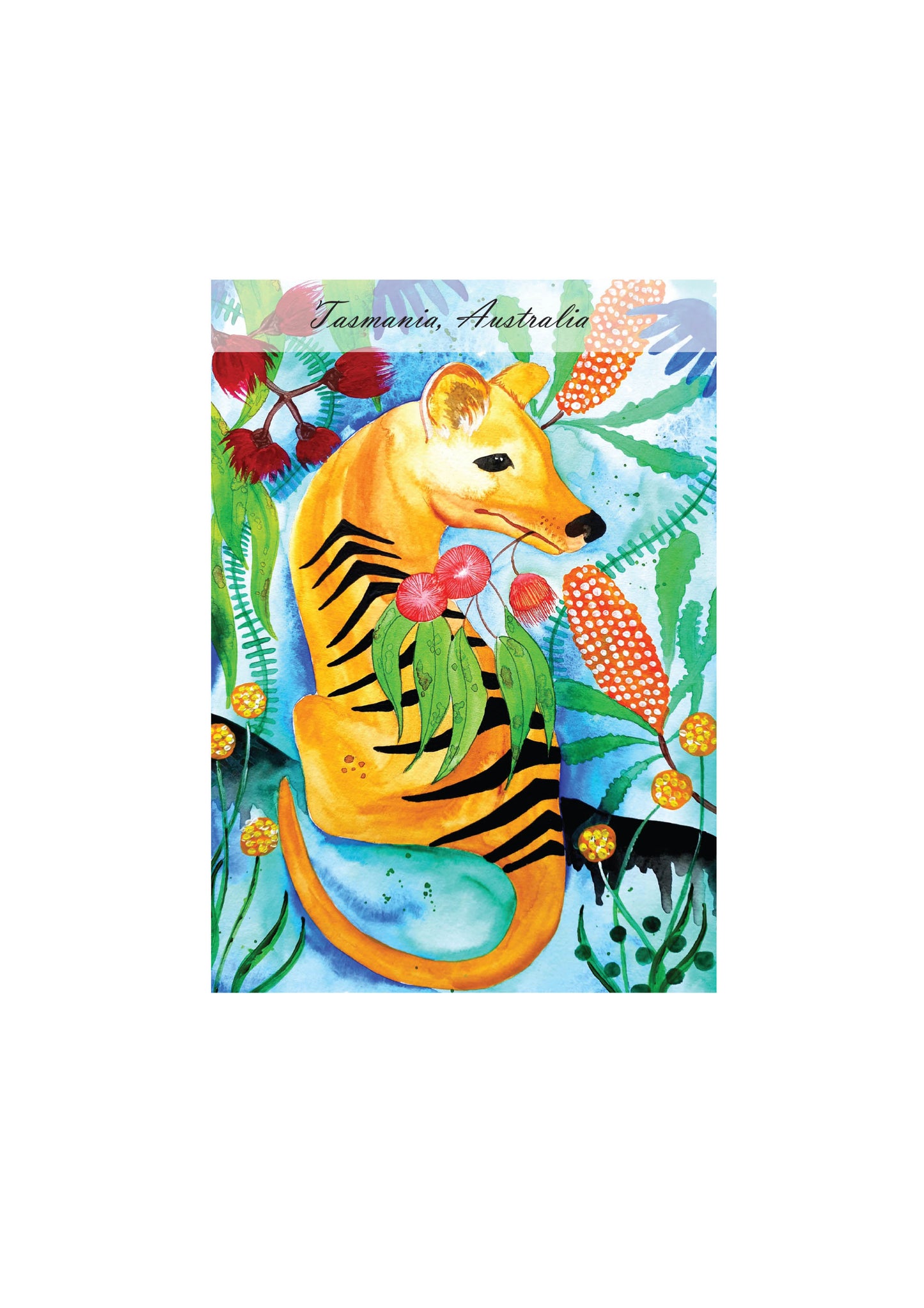 Postcard of Tasmania - The Tigress