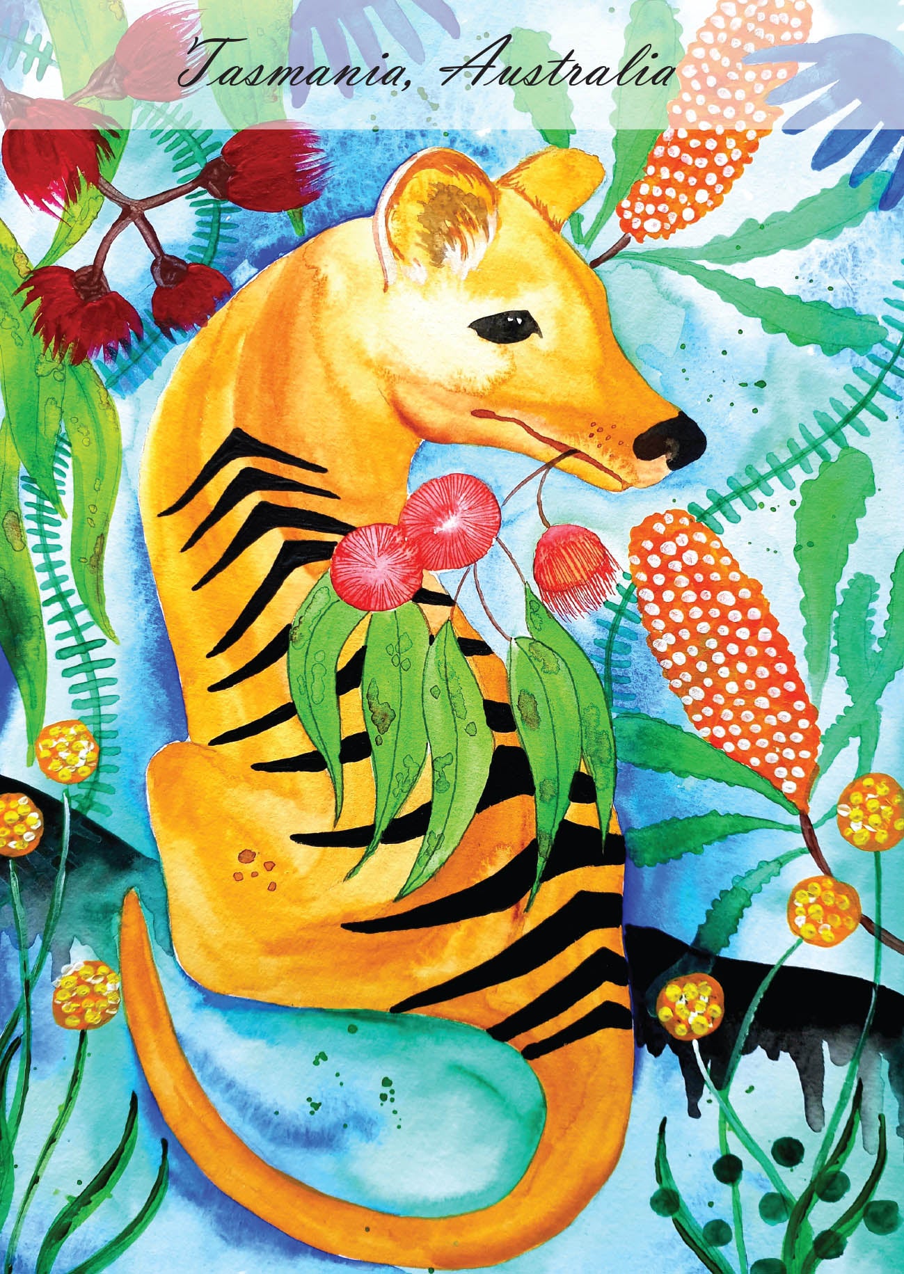 Postcard of Tasmania - The Tigress
