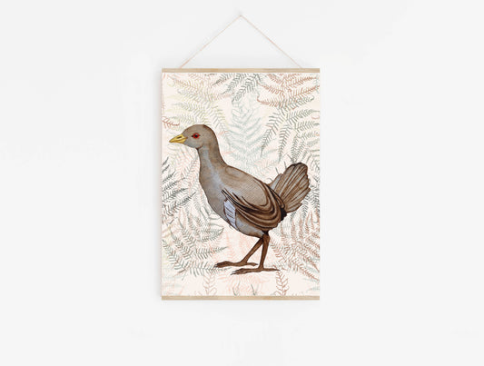 Art Print - Flora and Fauna - Turbo Chook - Native Hen -LAST CHANCE