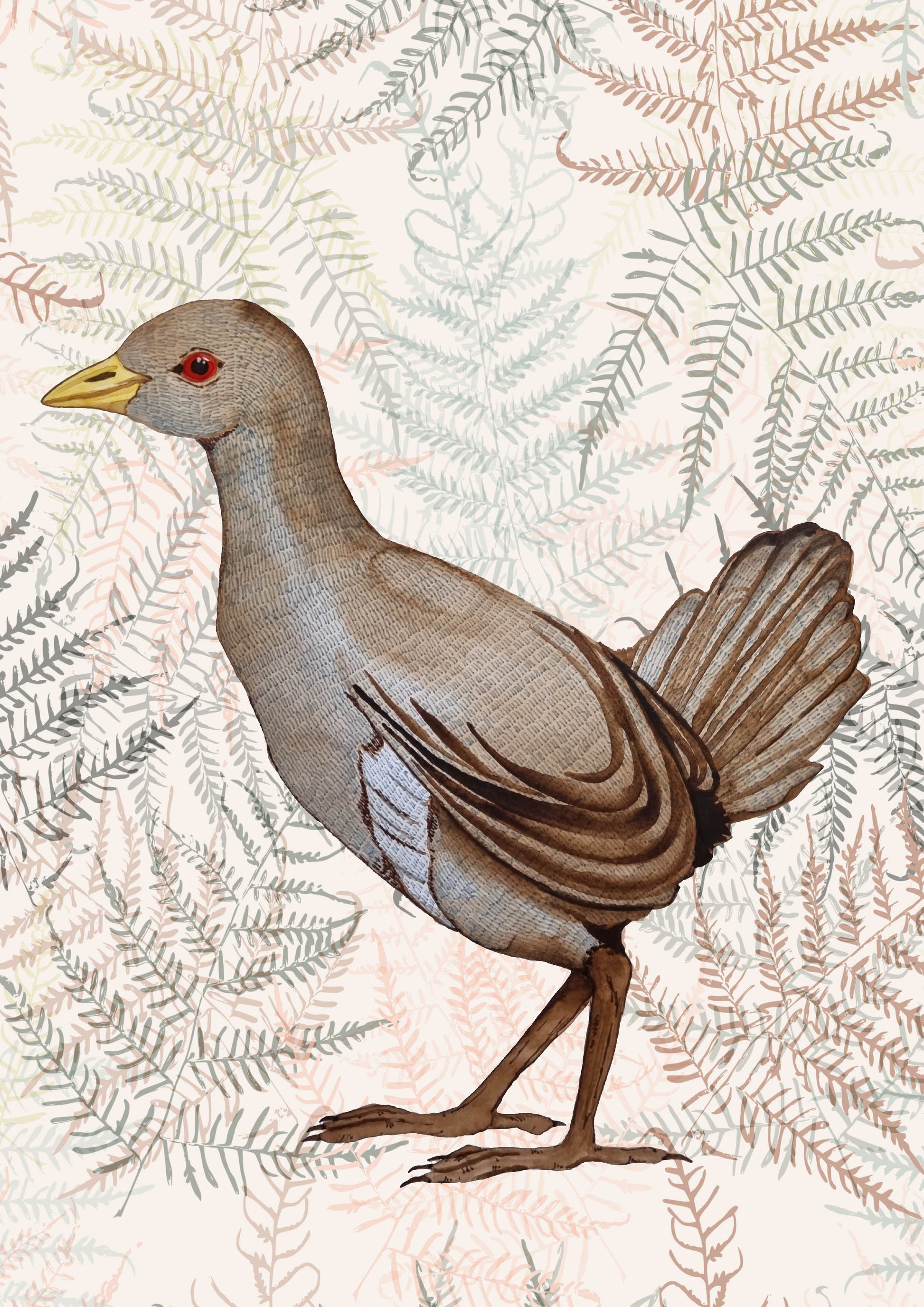 Tasmanian bird art print - native hen turbo chook