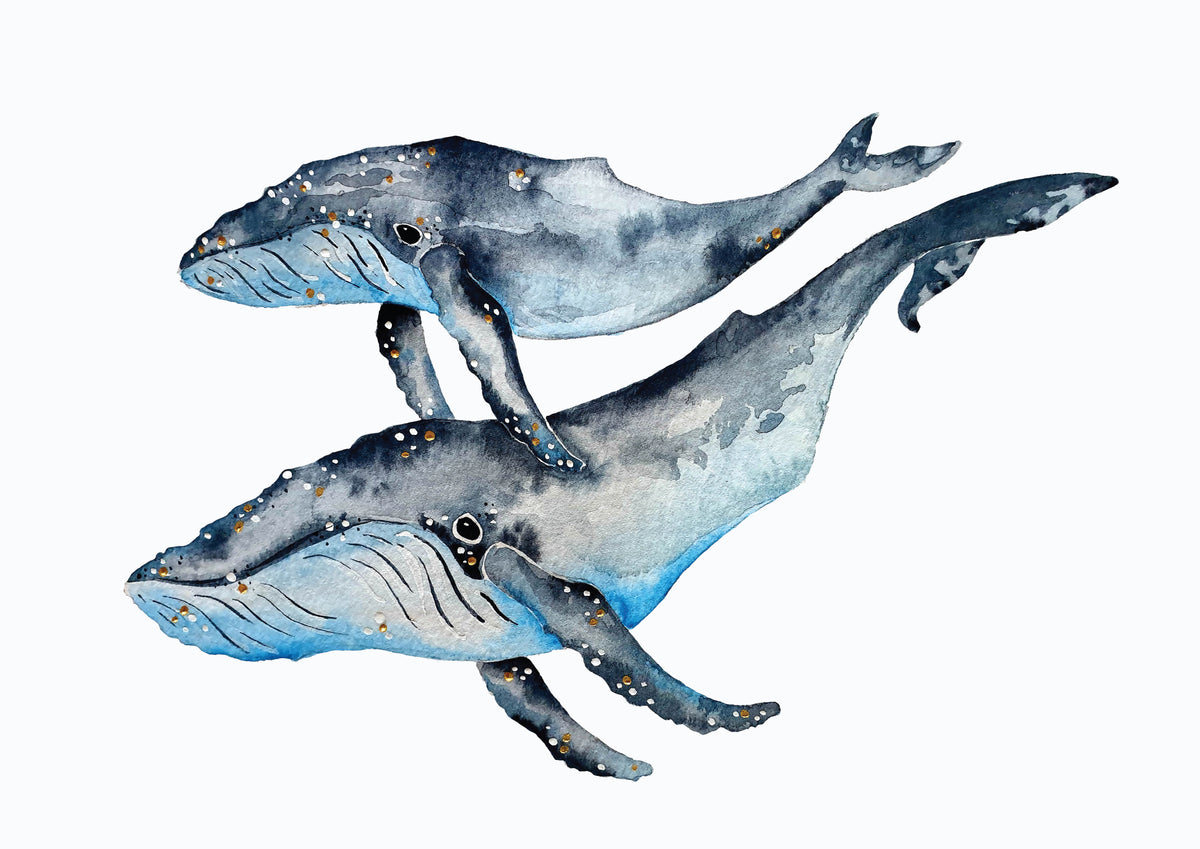 Whale Australian art print - mother and calf