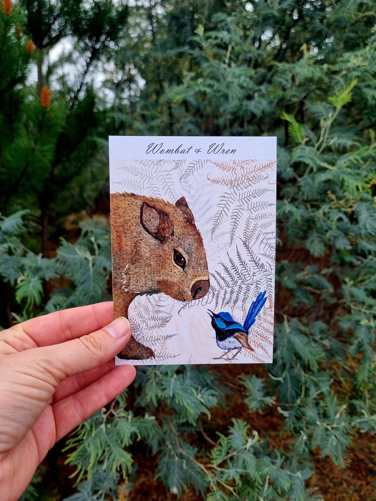 Postcard of Tasmania - Wombat & Wren