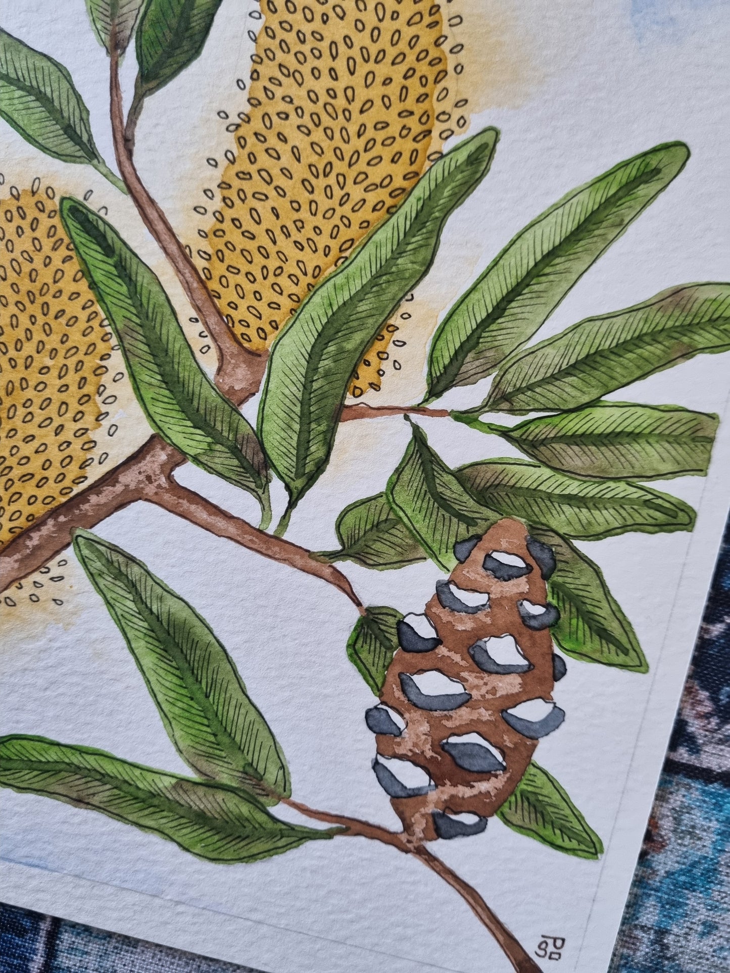 Original Painting - Yellow Banksia