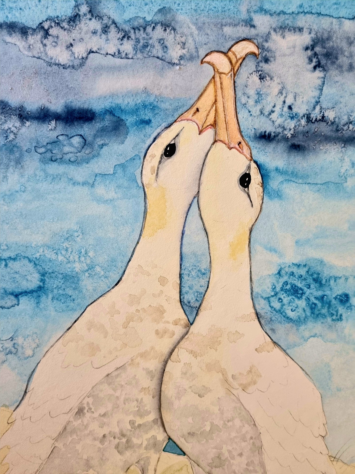 Art Print - Sea Life - Albatros