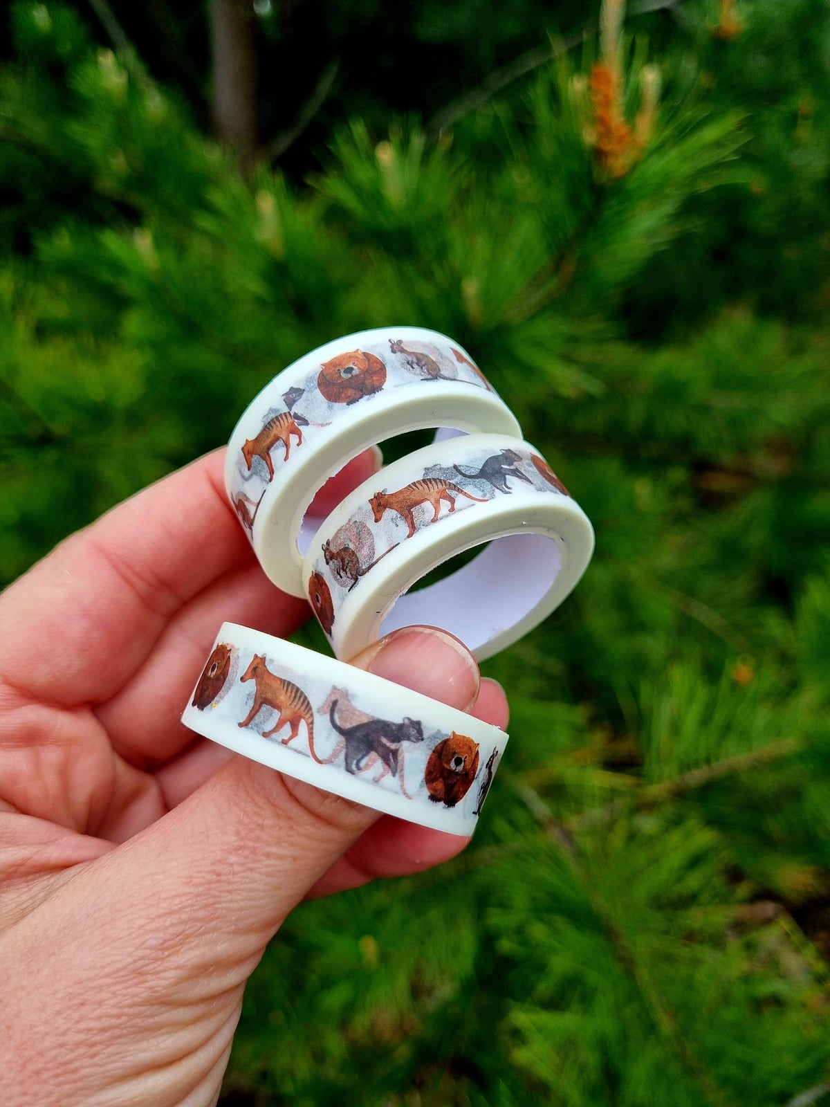 Washi Tape - Australian Animals