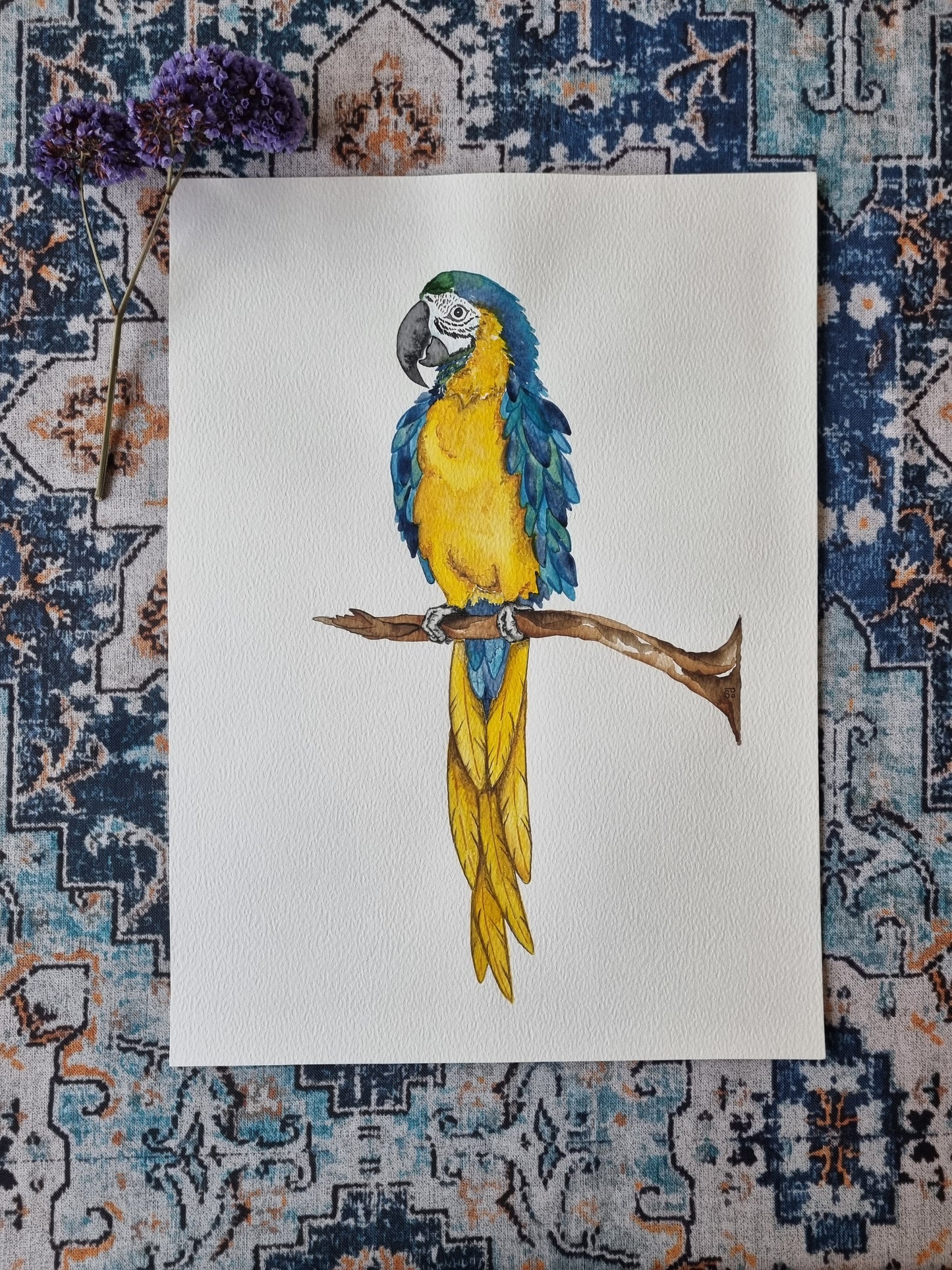 Original Painting - Beautiful Macaw