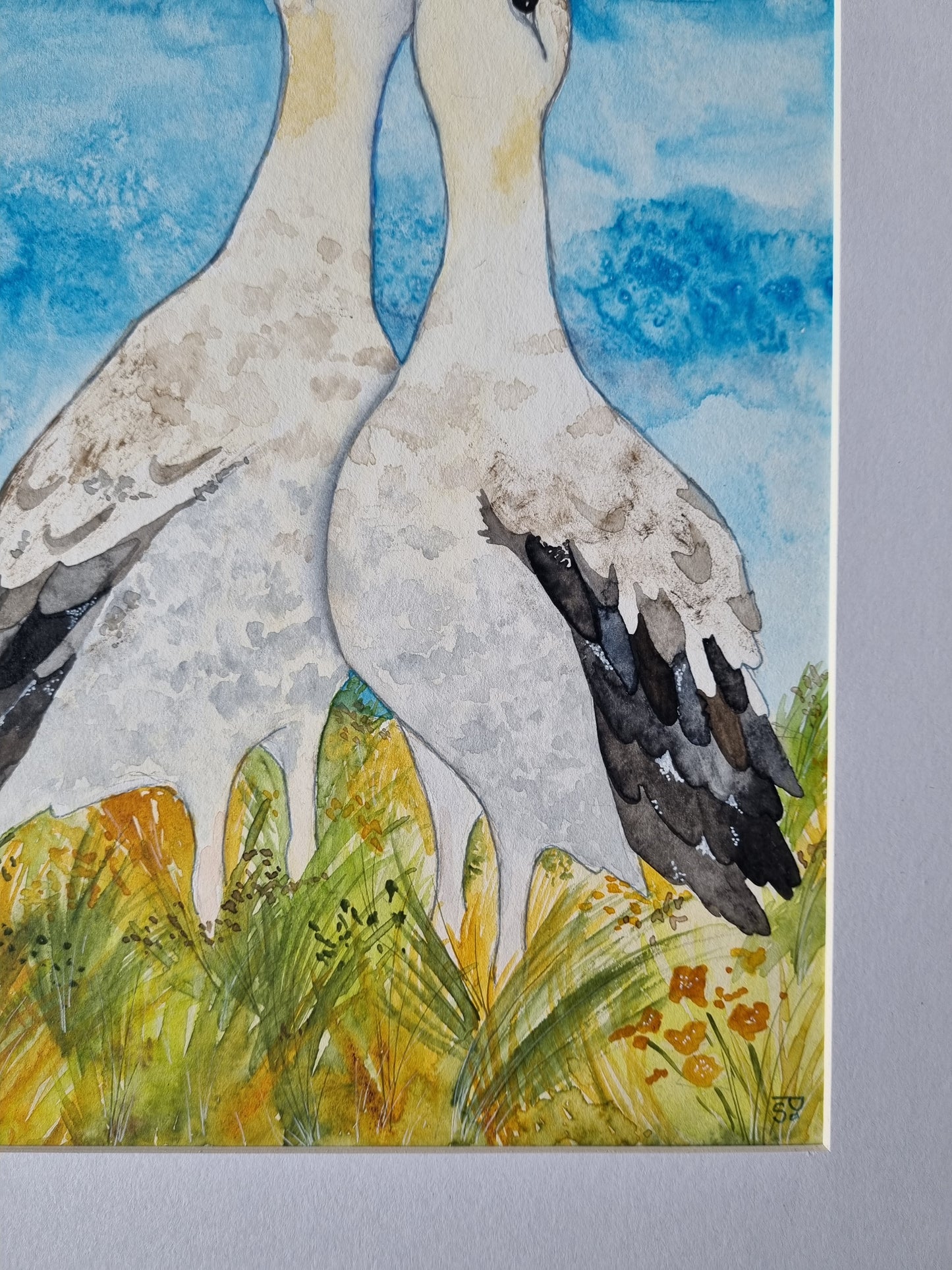 Original Painting - Wandering Albatross