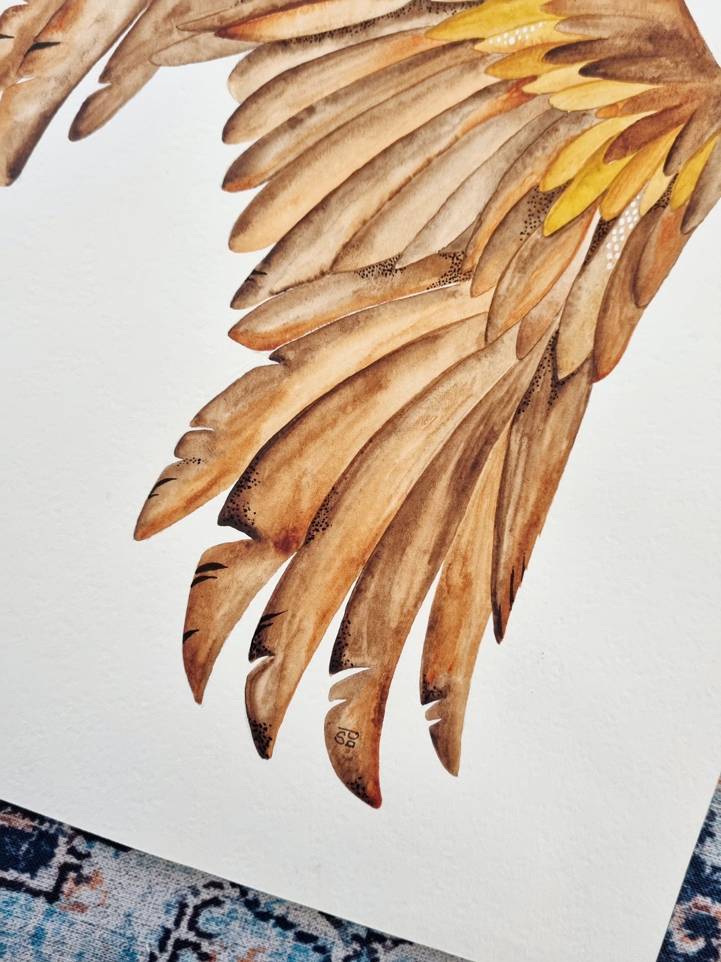 Original Painting - Wedge-tailed Eagle