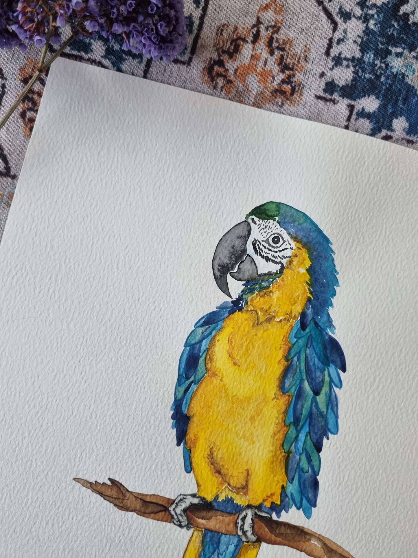 Original Painting - Beautiful Macaw