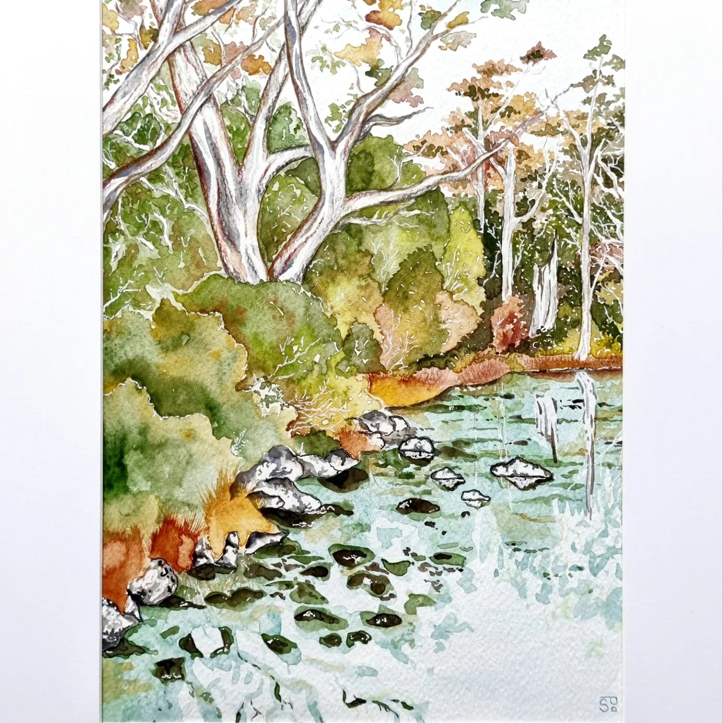 Art Print - Landscapes - Cockle Creek