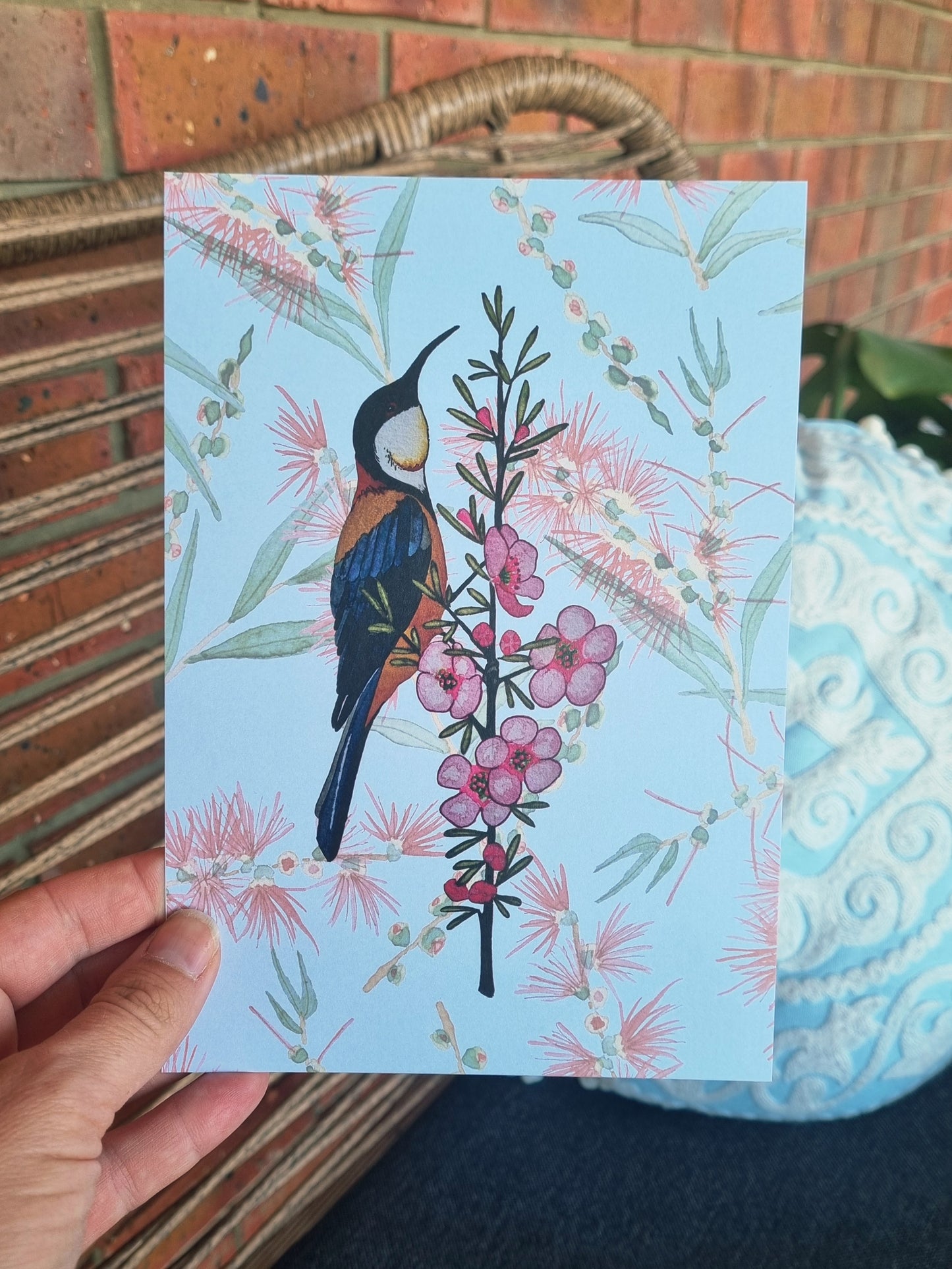 Art Print - Spinebill Honey Eater and Manuka -A5