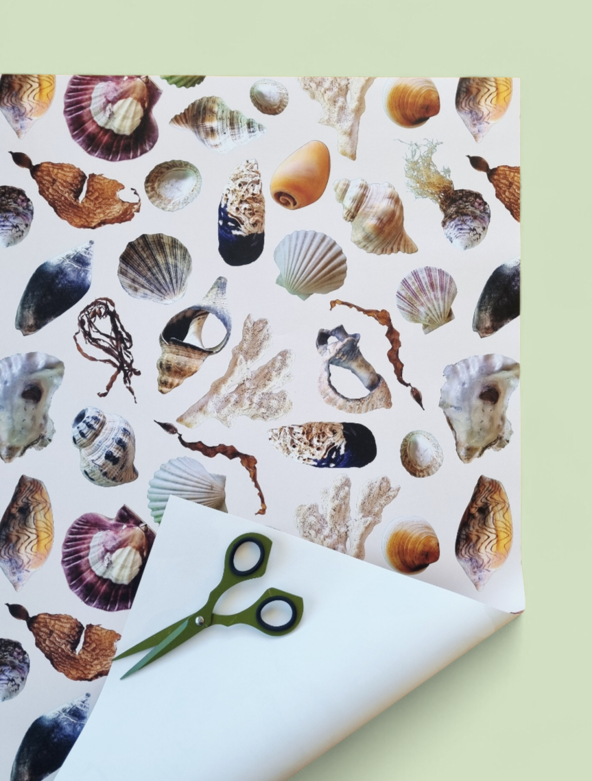 Wrapping Paper - Beach Treasures (Six Sheets)