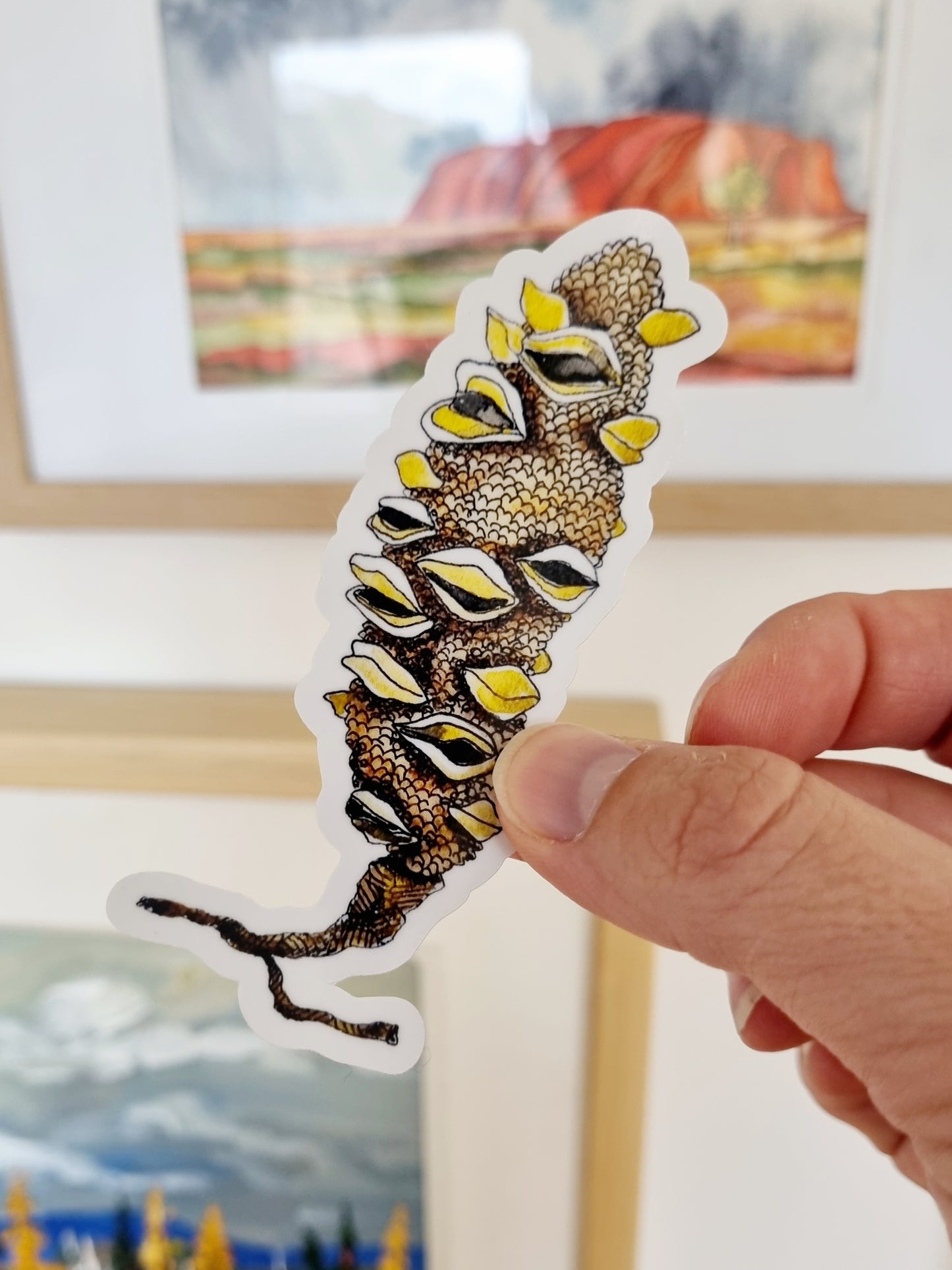 Vinyl Sticker - Banksia Seed