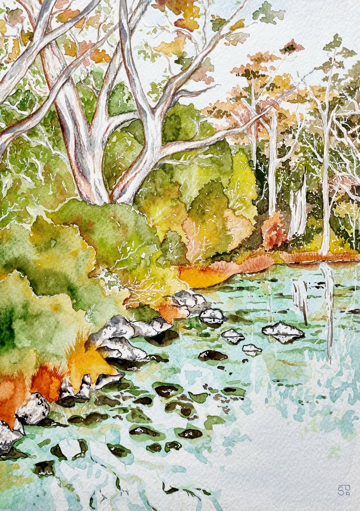 Tasmanian landsape art print - Cockle Creek
