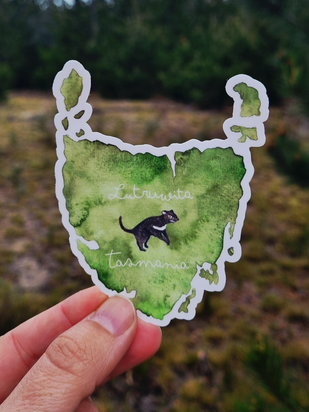 Vinyl Sticker - Tasmania