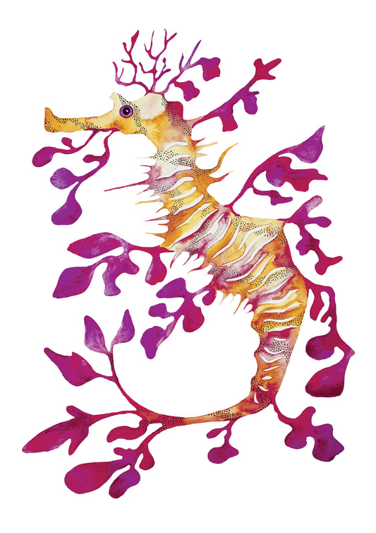 Tasmanian art print - Weedy Sea Dragon