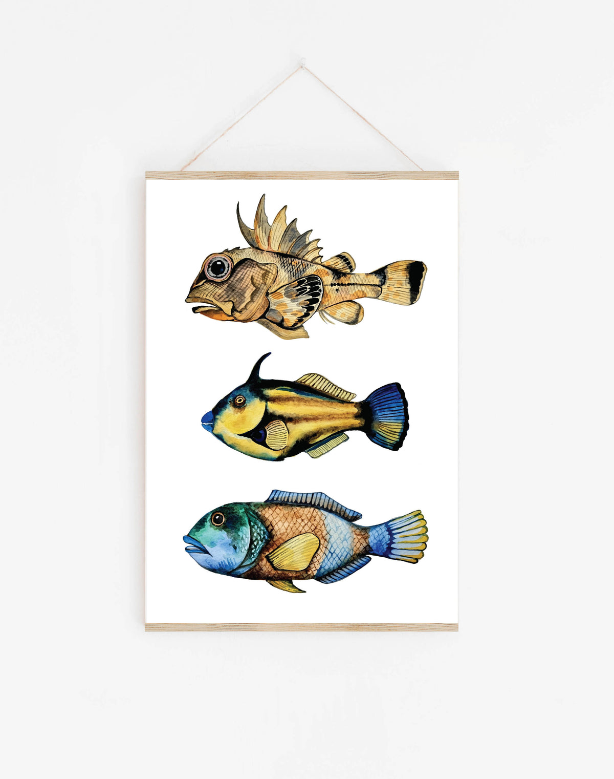 Art Print - Tasmanian Trio of Fish
