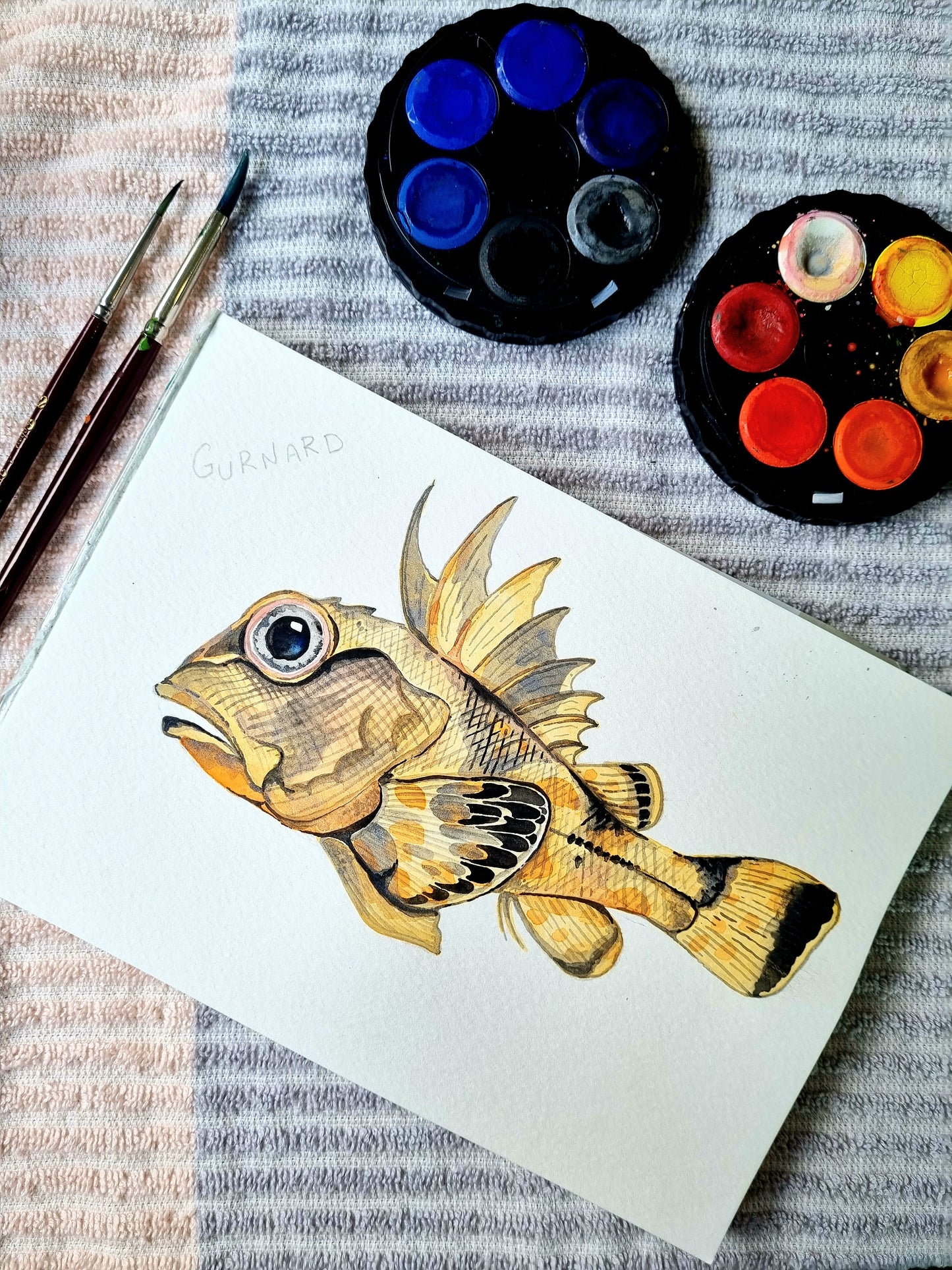 Art Print - Sea Life - Tasmanian Fish
