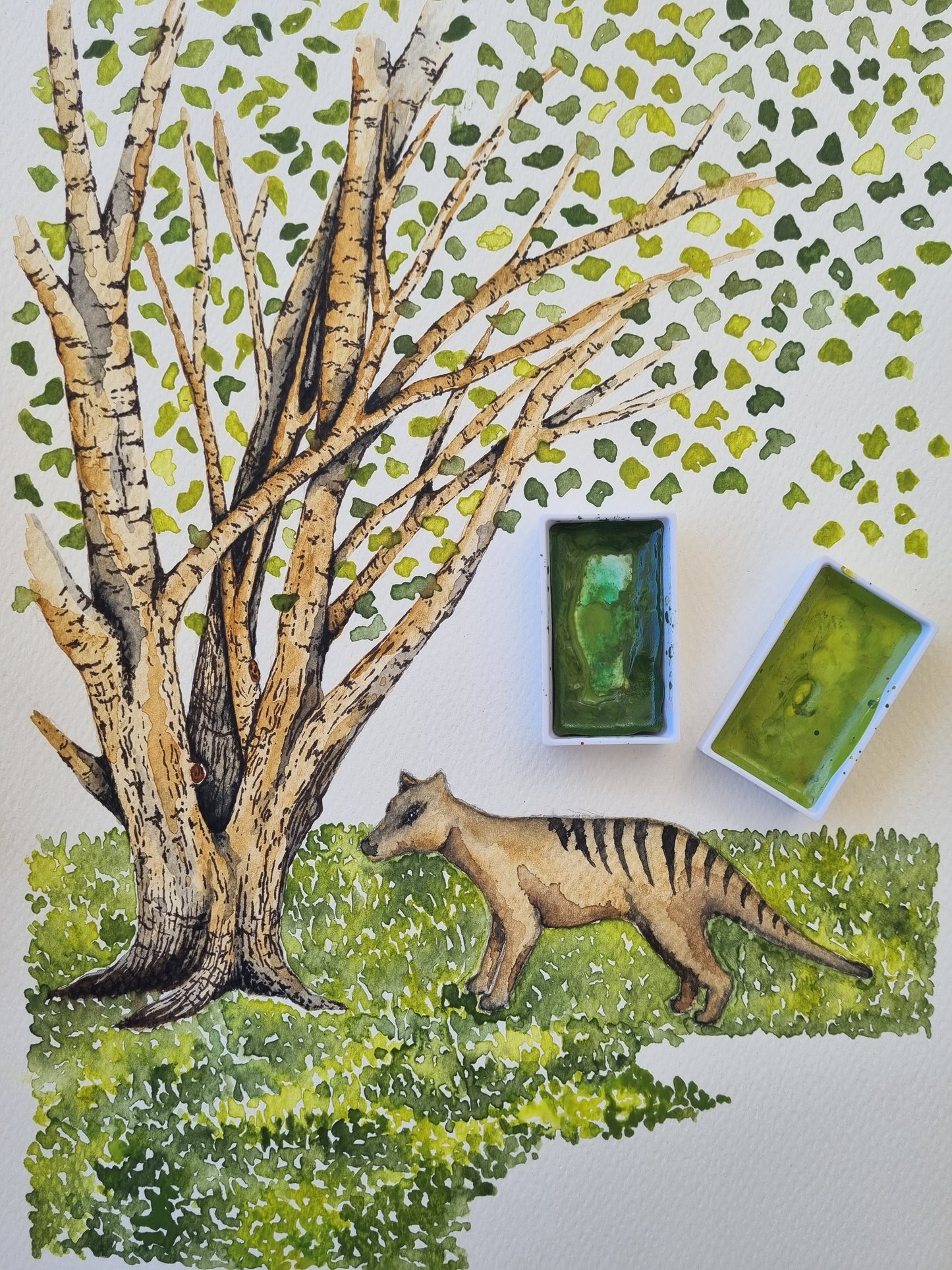Art Print - Landscapes - Derby Shire Thylacine