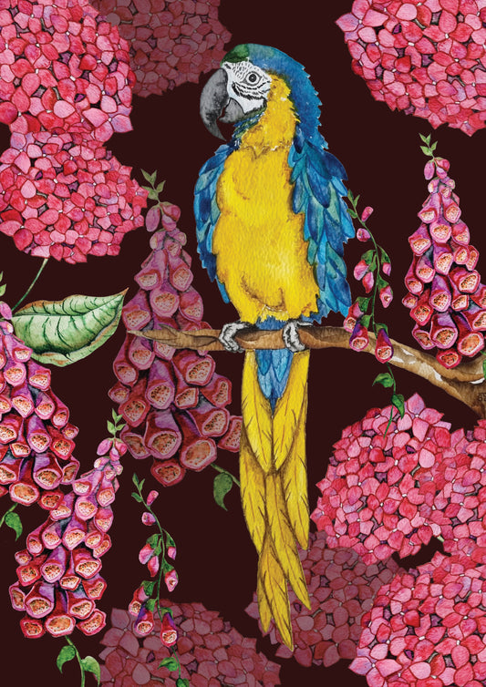 Art Print - Flora and Fauna - Garden Macaw - SALE