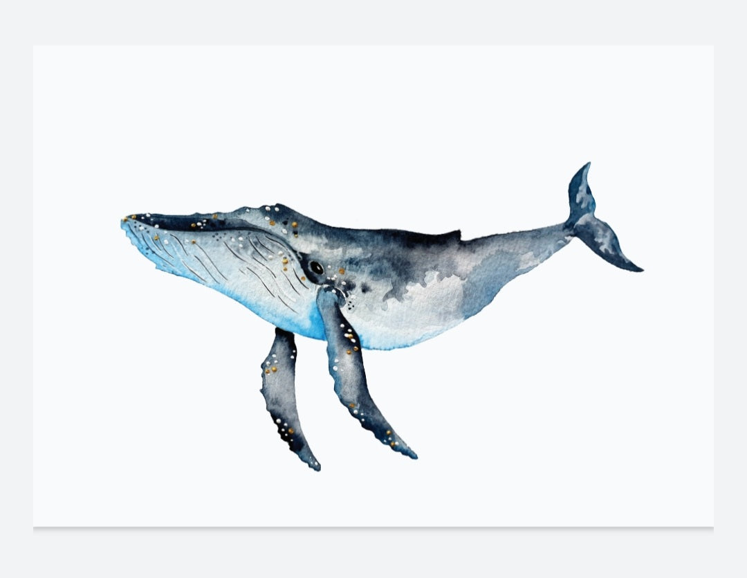 Australian art marine life print - single whale print