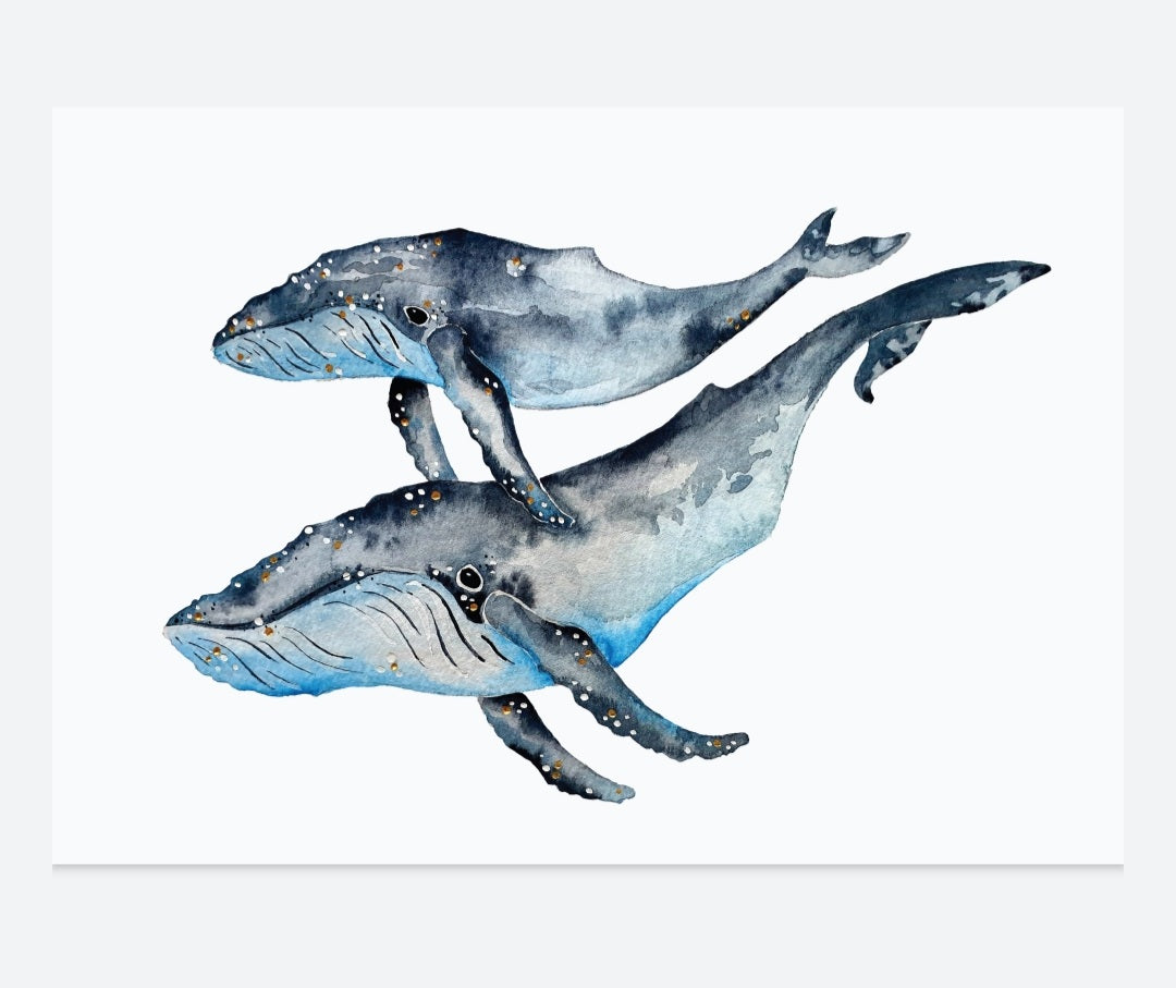 Art Print - Sea Life - Whale Songs