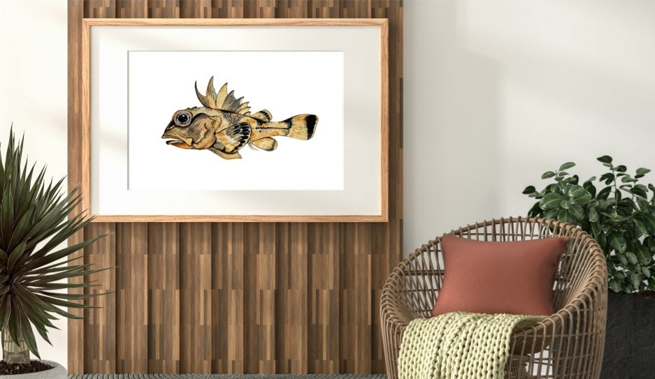 Art Print - Sea Life - Tasmanian Fish