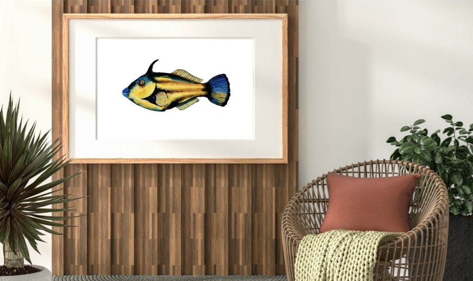 Art Print - Sea Life - Tasmanian Fish