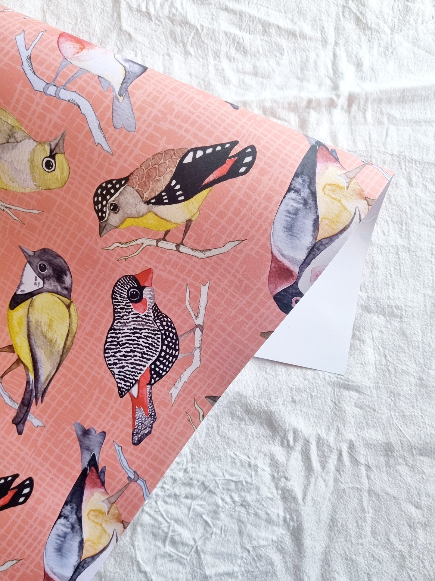 Wrapping Paper - Tasmanian Birds (Six Sheets)