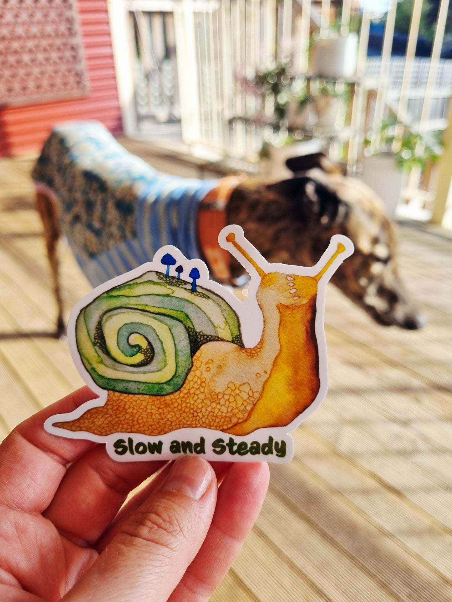 Vinyl Sticker - Snail - Slow and Steady