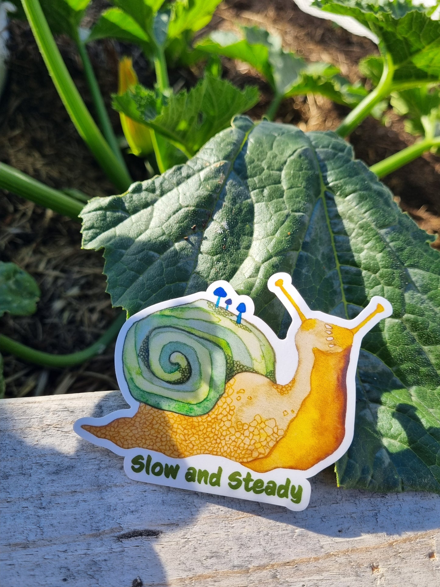 Vinyl Sticker - Snail - Slow and Steady