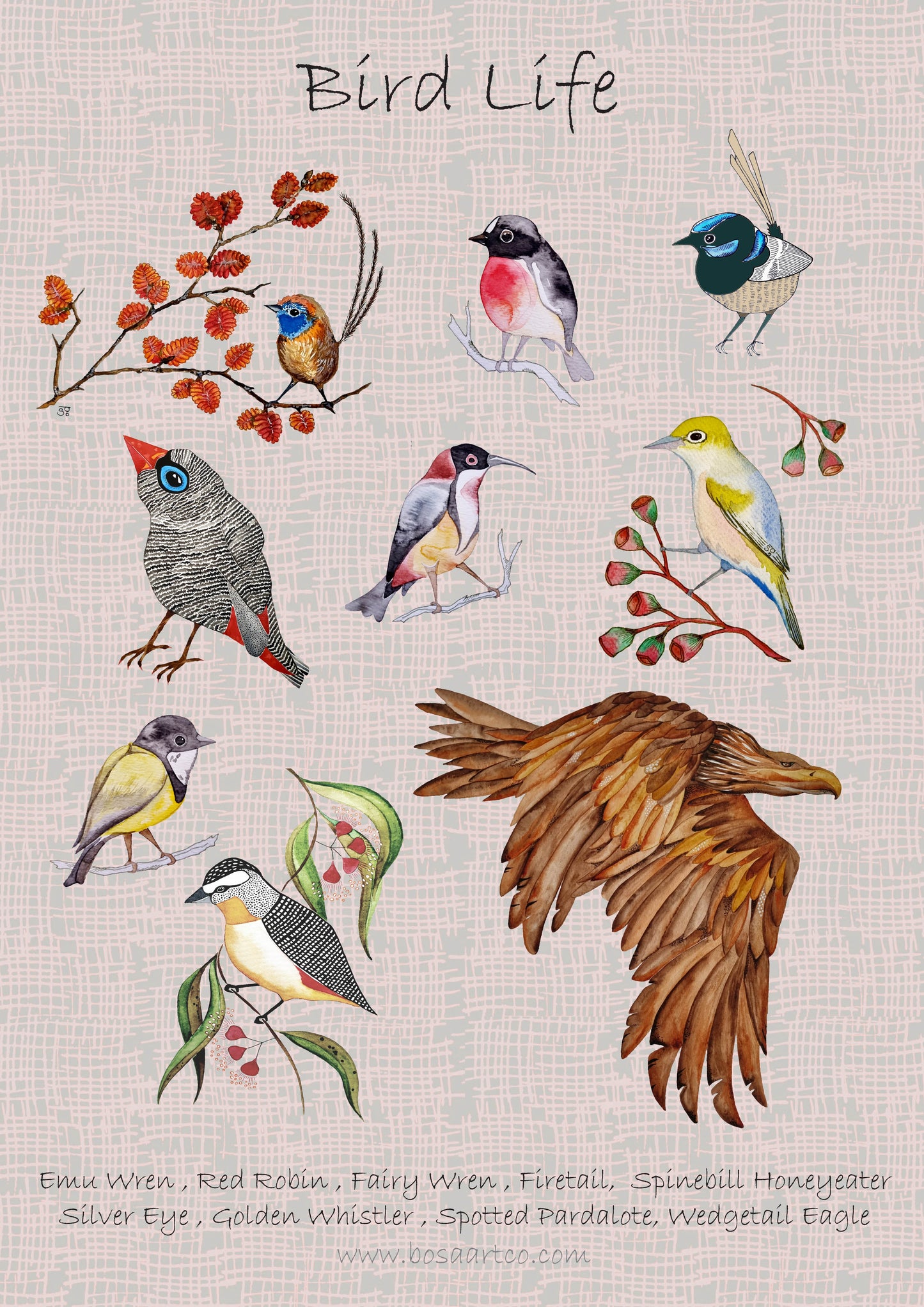 Art Print - Flora and Fauna - Bird Life