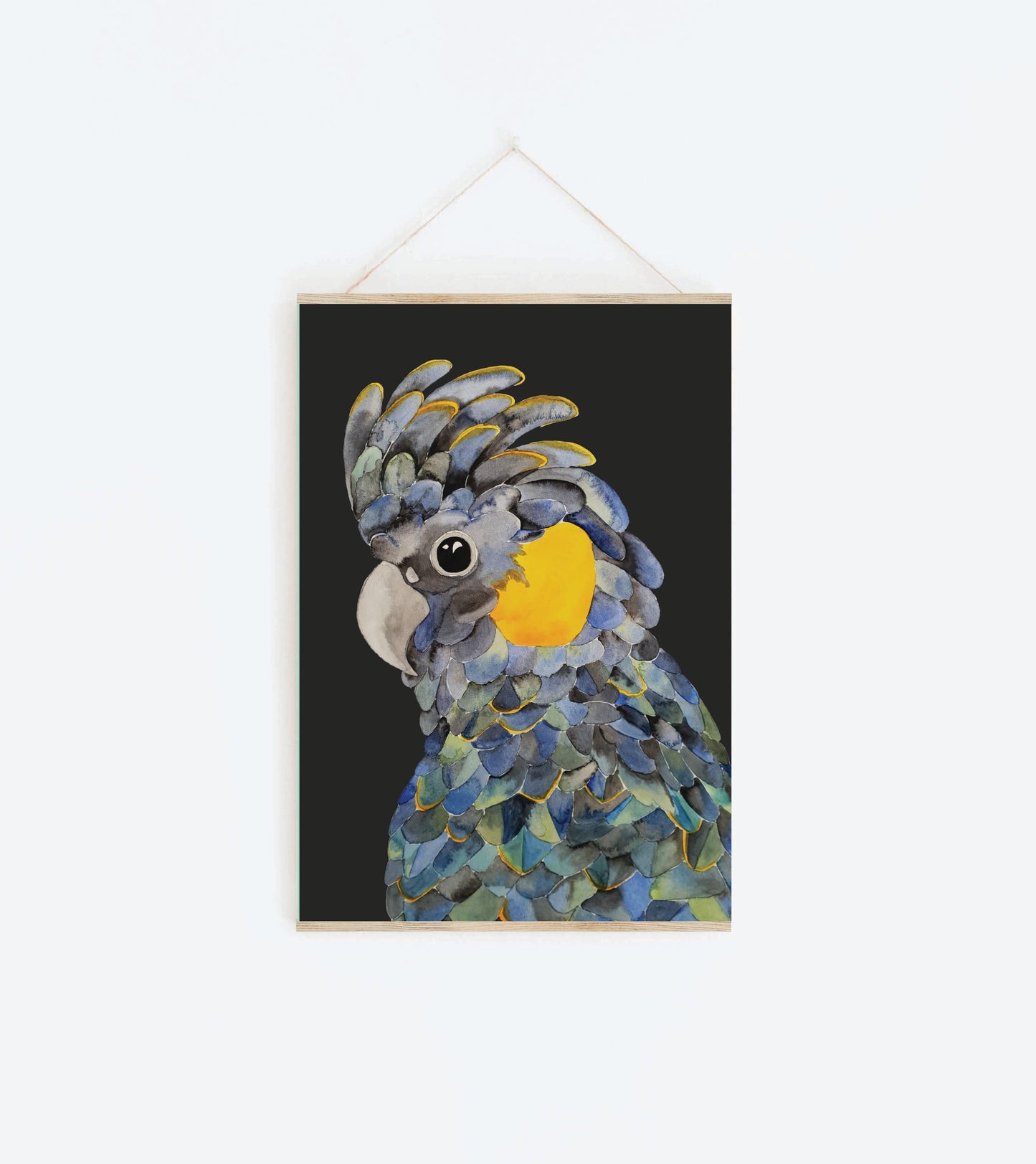 Art Print - Tasmanian Flora and Fauna - Bruny the Black Cockatoo