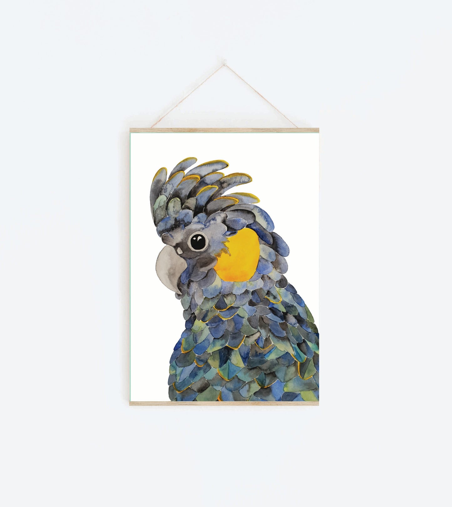 Art Print - Tasmanian Flora and Fauna - Bruny the Black Cockatoo