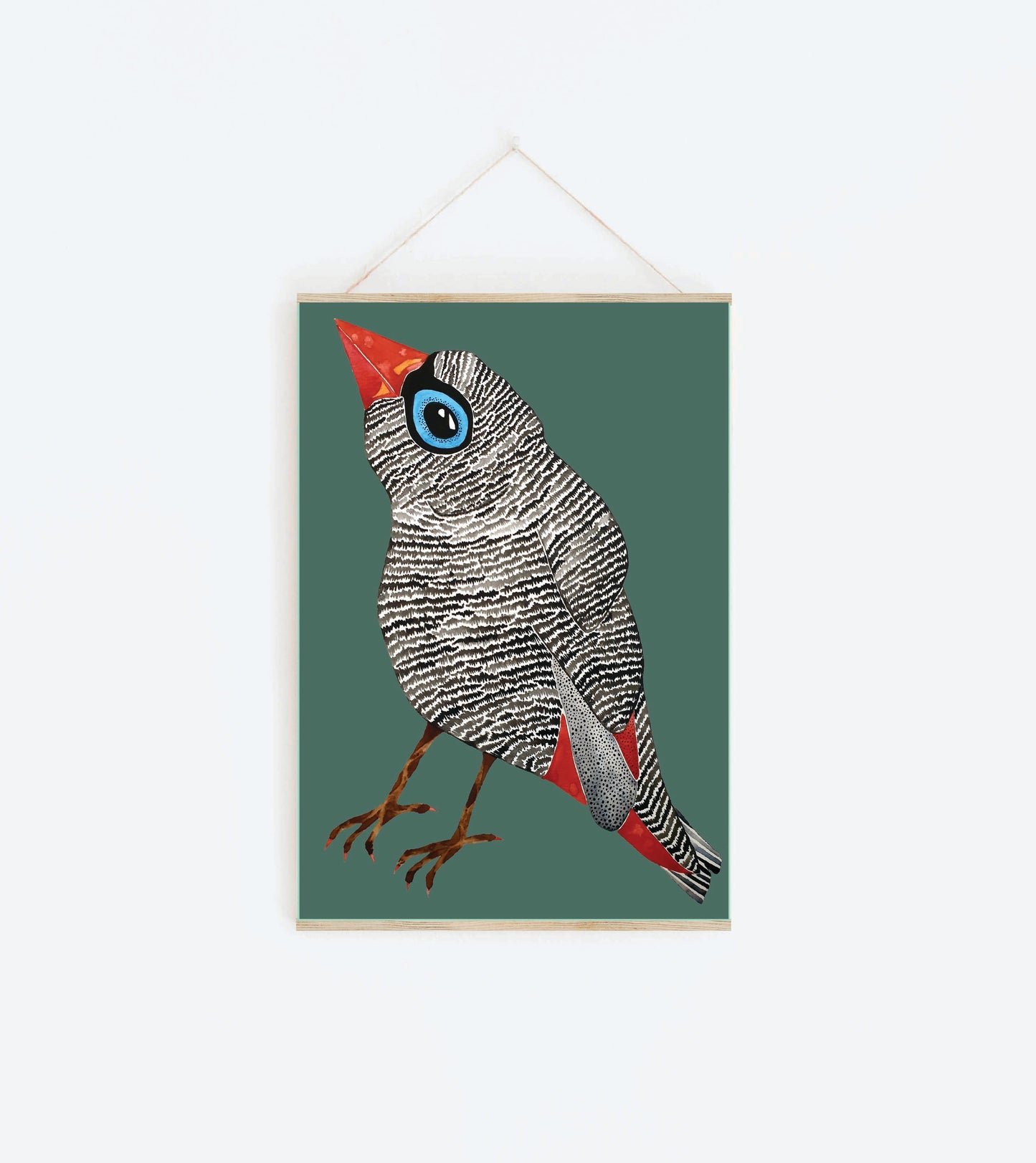 Art Print - Tasmanian Flora and Fauna - Franklyn the Firetail Finch