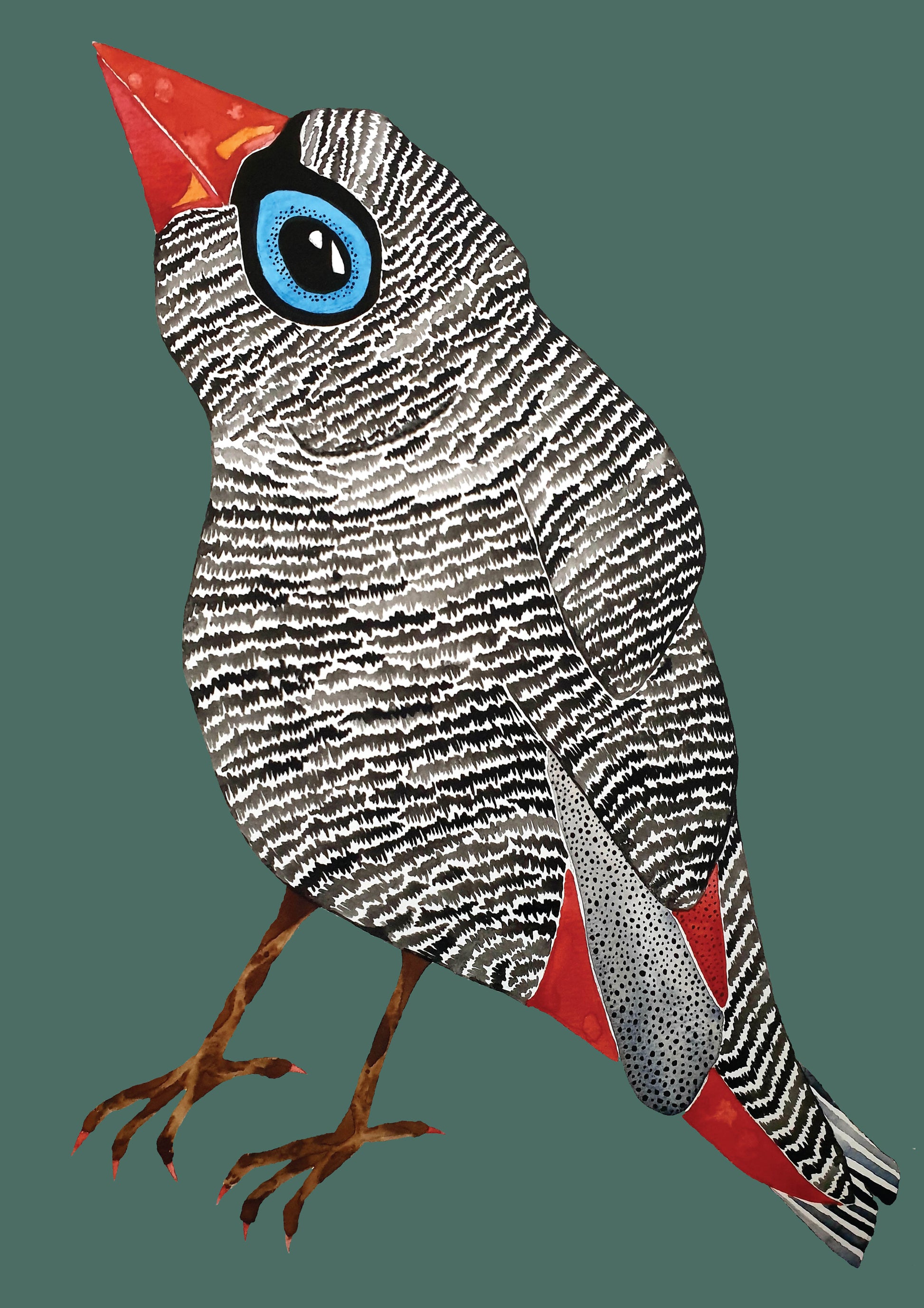 Tasmanian bird art print - Firetail Finch Bird