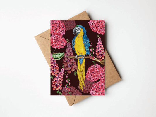 Greeting Card - Macaw